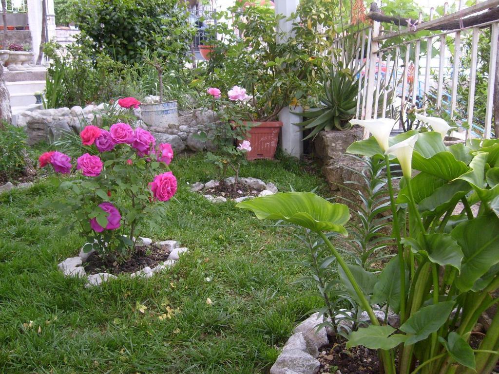 Apartments Bovan Herceg Novi Dış mekan fotoğraf